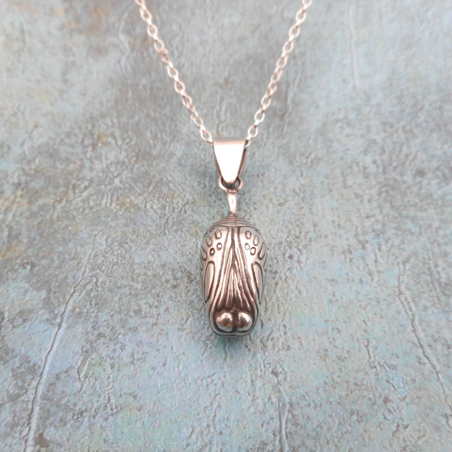 A photo of a silver chrysalis pendant on a blue background.