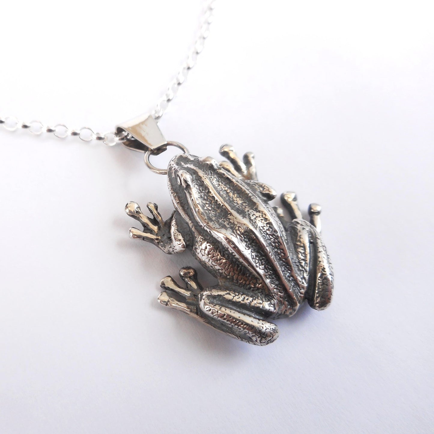 A photo of a silver frog necklace on a white background.