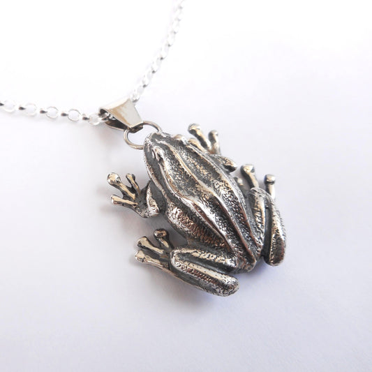 A photo of a silver frog necklace on a white background.
